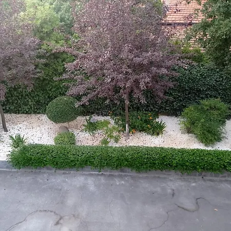 Elios *